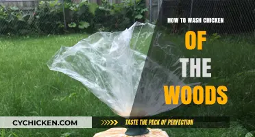 Cleaning Chicken of the Woods: A Step-by-Step Guide to Safe Preparation