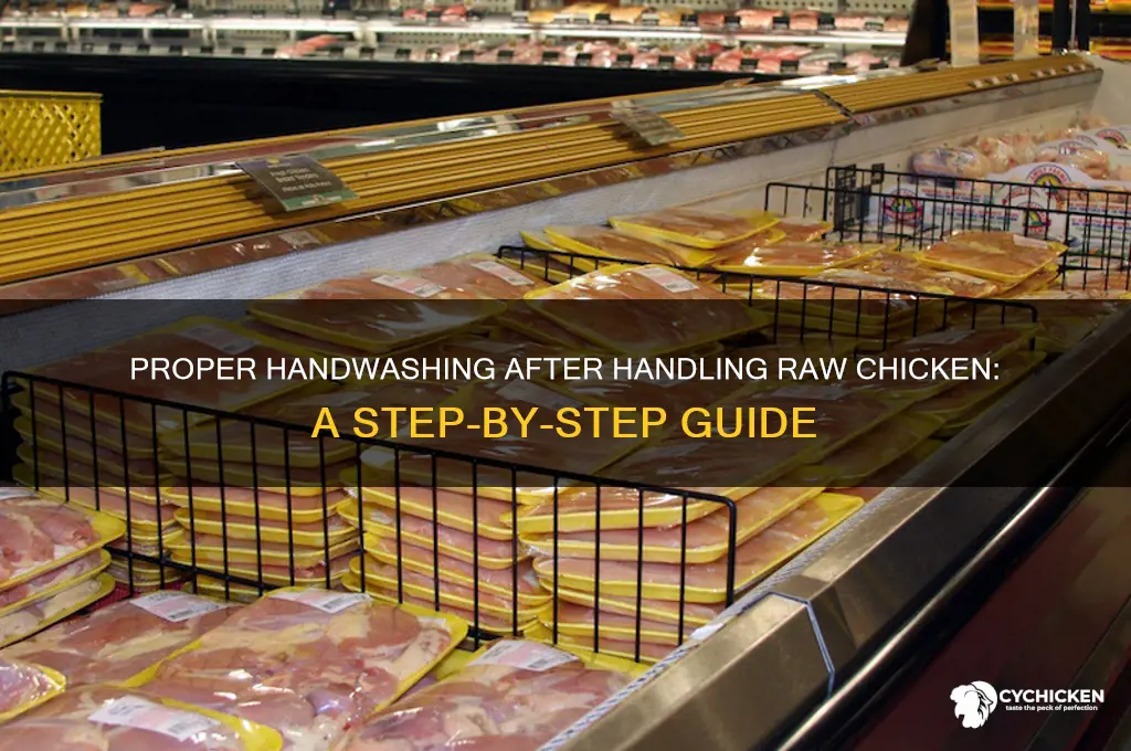 how to wash hands afrer chicken raw