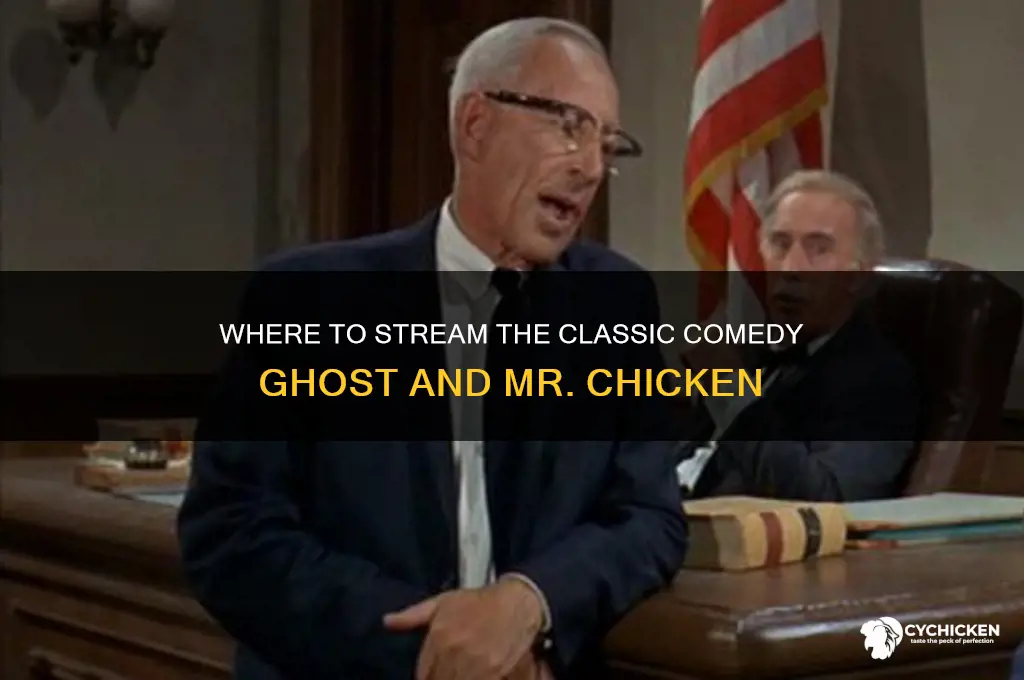 how to watch ghost and mr chicken