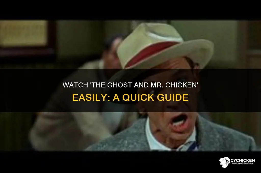 how to watch the ghost and mr chicken