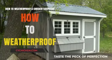 Weatherproofing Your Chicken Coop: A Step-by-Step Guide