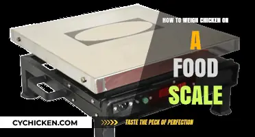 Mastering Precision: How to Weigh Chicken on a Food Scale