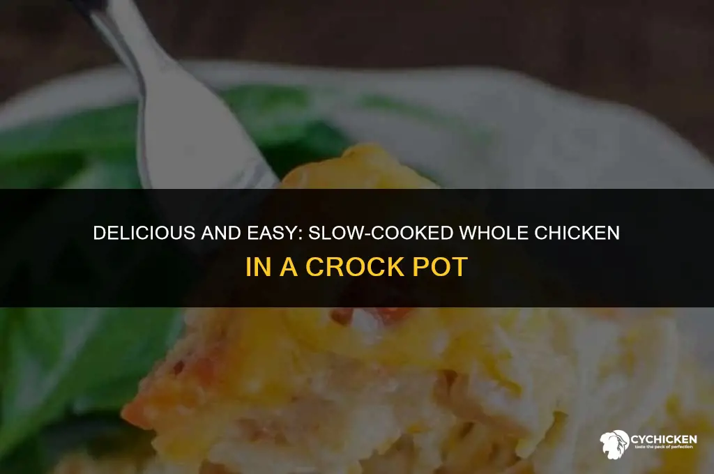 how to whole chicken crock pot