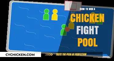 Master the Art of Winning Chicken Fight Pool Matches
