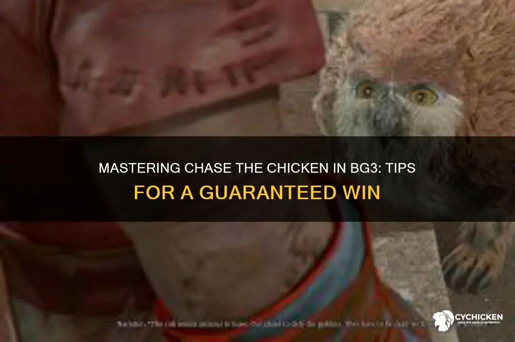how to win chase the chicken bg3