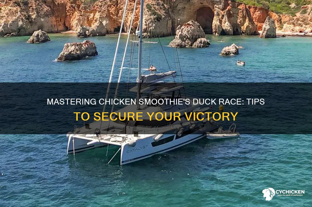 how to win duck race chicken smoothie