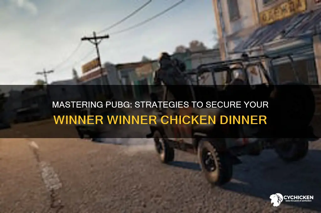 how to win winner winner chicken dinner sar