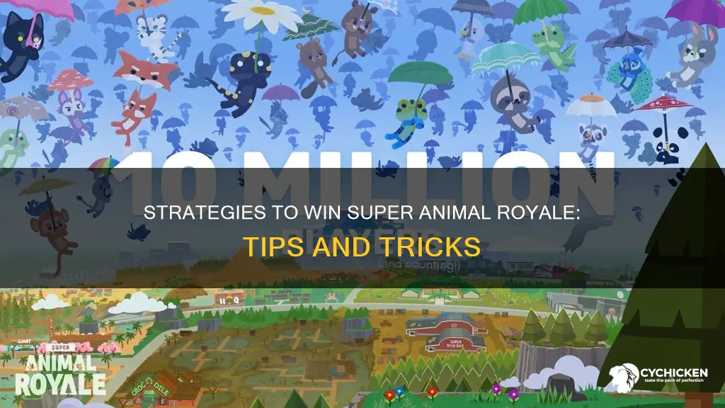 how to win winner winner chicken dinner super animal royale