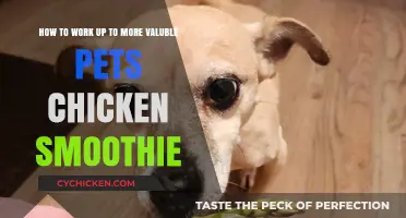Working Towards Rare Pets on Chicken Smoothie