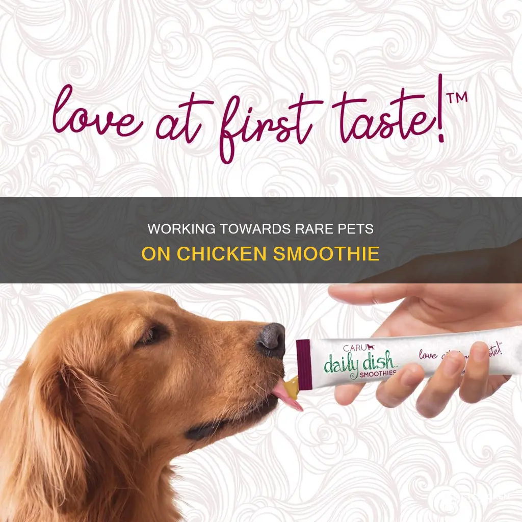 how to work up to more valuble pets chicken smoothie