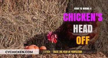 Quick Guide to Humane Chicken Head Removal Techniques