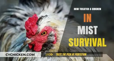 Mastering Mist Survival: Effective Techniques to Catch Chickens Easily