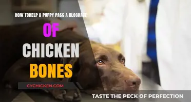 Helping Your Puppy Pass Blocked Chicken Bones