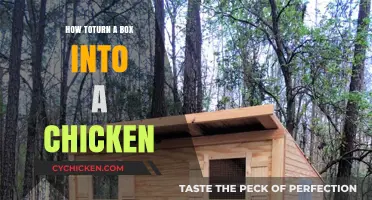 Transforming a Box into a Chicken Coop: Creative DIY Guide