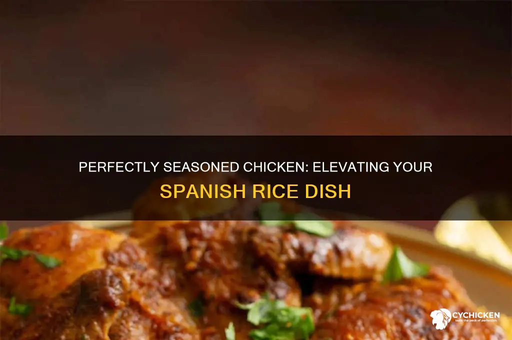 how tp season chicken fpr spanish rice