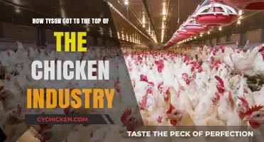 Tyson's Rise: Strategies for Chicken Industry Dominance