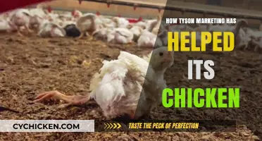 Tyson's Marketing Strategies: Boosting Chicken Sales and Brand Loyalty