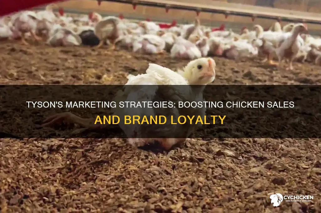 how tyson marketing has helped its chicken
