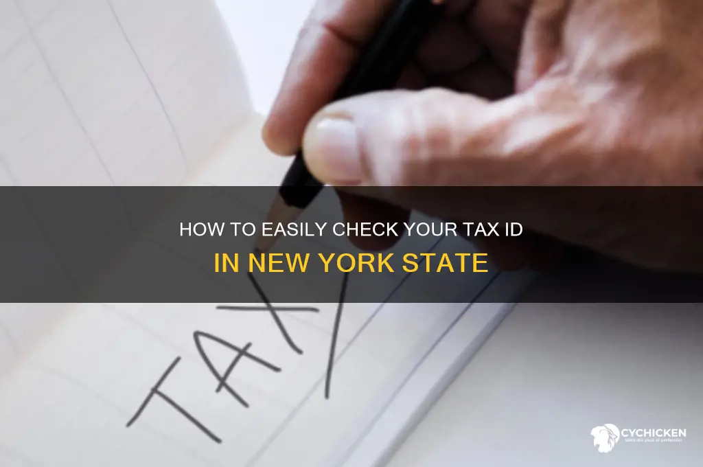 how u chick ur tx id ny