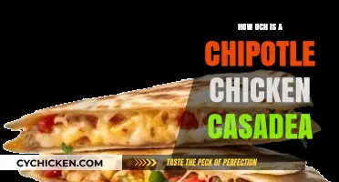 Chipotle Chicken Quesadilla Price: How Much Does It Cost?