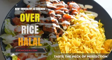 Is Halal Chicken Over Rice Unhealthy? Nutritional Insights Revealed