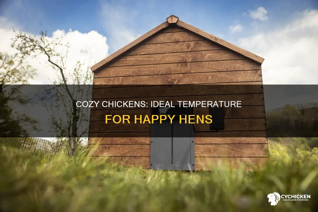 how warm does a chicken need to be pleased