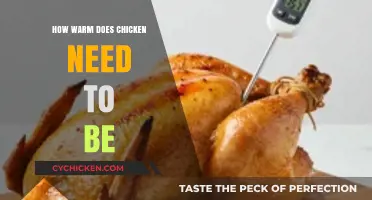 Perfect Chicken Temperature: How Warm Does It Need to Be?