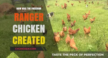 The Origin Story of the Freedom Ranger Chicken Breed