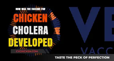 The Breakthrough: Developing the Chicken Cholera Vaccine