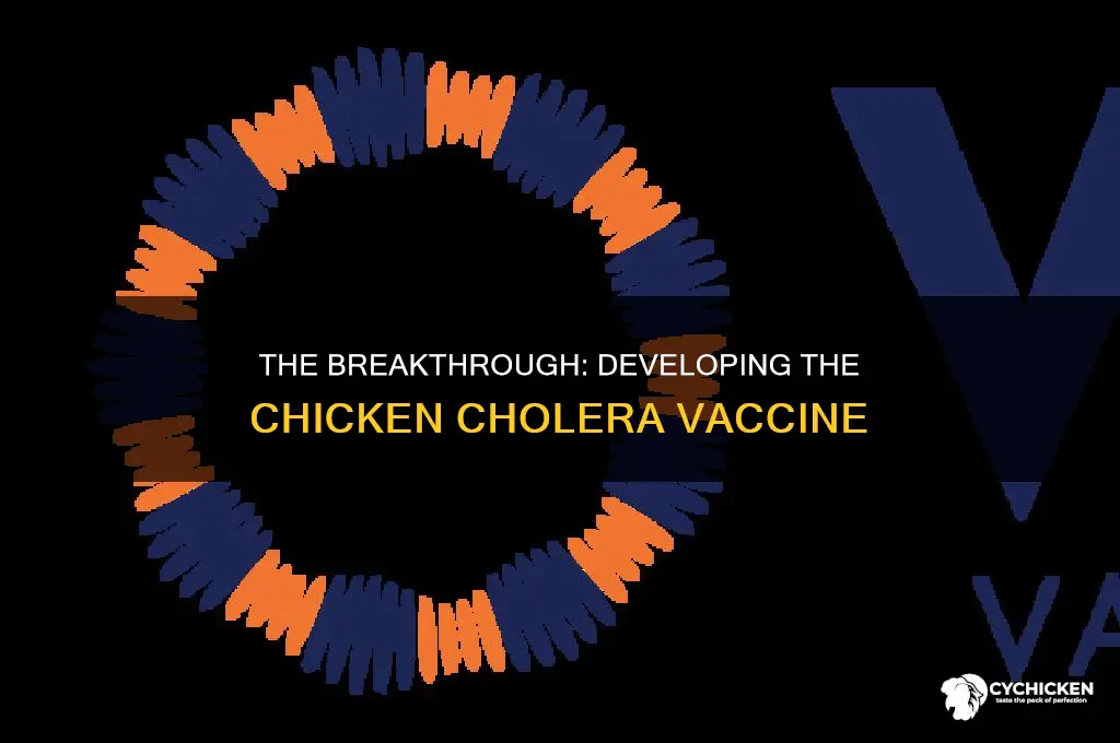 how was the vaccine for chicken cholera developed