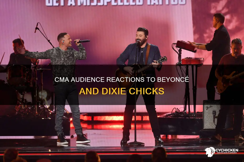 how were beyonce and dixie chicks received by cma audience