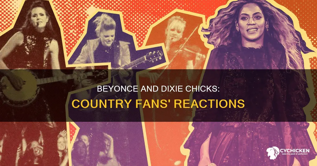 how were beyonce and dixie chicks received by country fans
