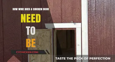 The Perfect Chicken Door: Width and Size Guide