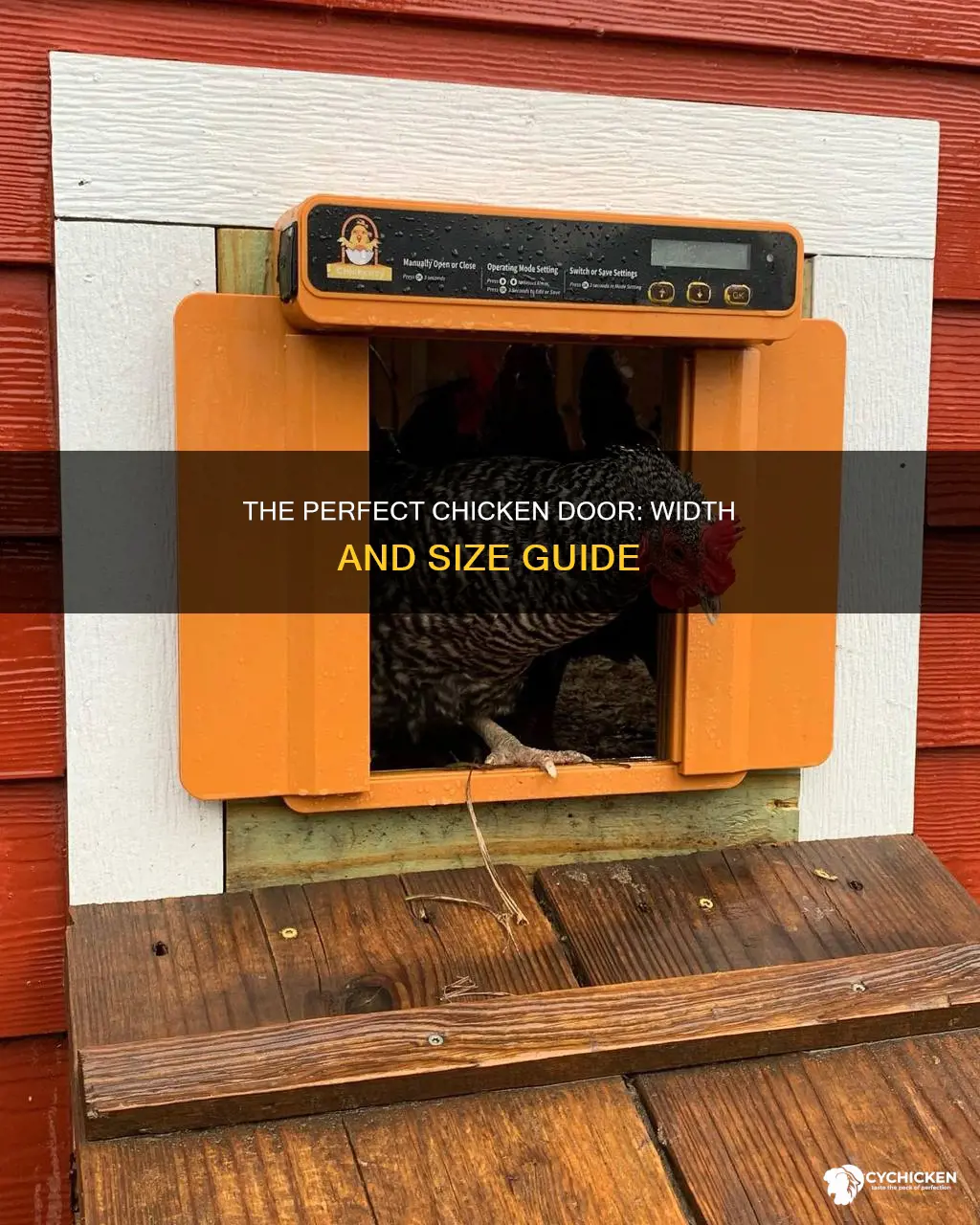 how wide does a chicken door need to be