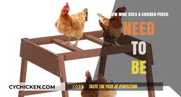 Chicken Perch Width: How Wide is Wide Enough?
