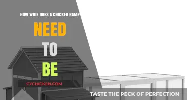 Chicken Ramp Safety: How Wide is Wide Enough?