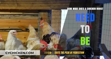 The Ideal Chicken Roost Width for Happy Hens