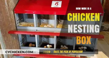 Optimal Chicken Nesting Box Width: A Practical Guide for Poultry Keepers