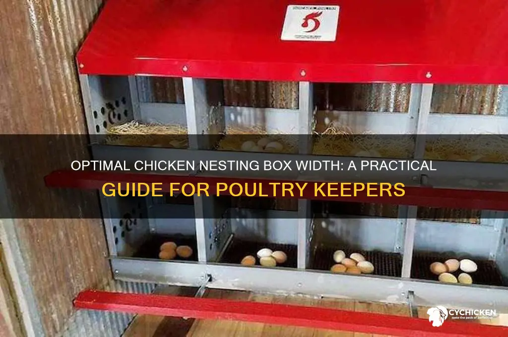 how wide is a chicken nesting box