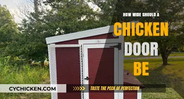 Perfect Chicken Coop Door Size: Ensuring Safety and Easy Access for Hens