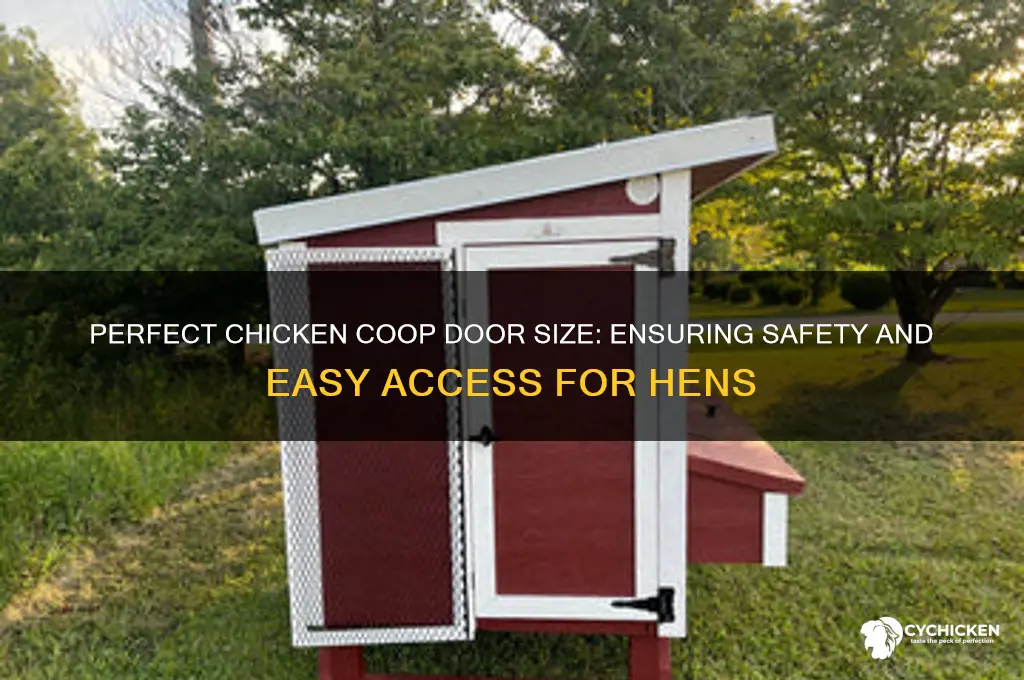how wide should a chicken door be