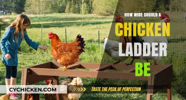 Optimal Chicken Ladder Width: A Guide for Coop Owners