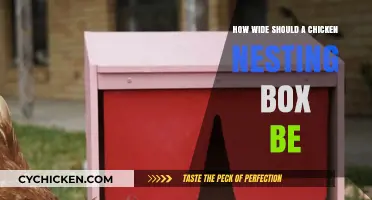 Optimal Chicken Nesting Box Width: A Guide for Happy Hens