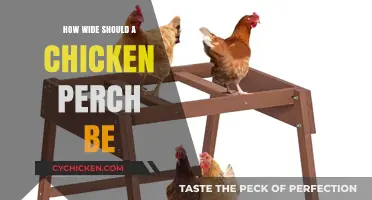 Optimal Chicken Perch Width: A Guide for Happy, Healthy Hens