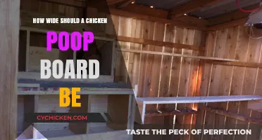 Optimal Chicken Poop Board Width for Easy Cleaning and Maintenance