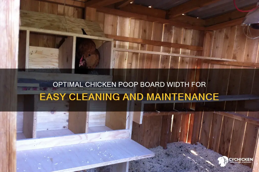 how wide should a chicken poop board be