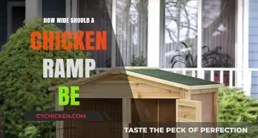 Ideal Chicken Ramp Width: Tips for Safe Coop Access