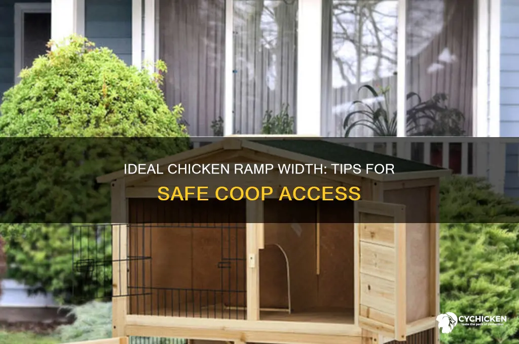 how wide should a chicken ramp be
