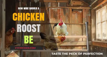 Optimal Chicken Roost Width: Comfort and Space for Happy Hens