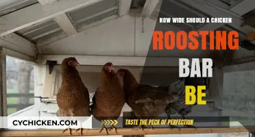 Ideal Chicken Roosting Bar Width: Comfort and Safety Tips